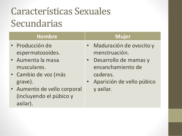 Baden württemberg dating Caracteristicas sexuales primarias y secundarias diferencias